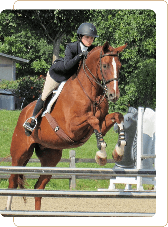 A person riding on the back of a horse.