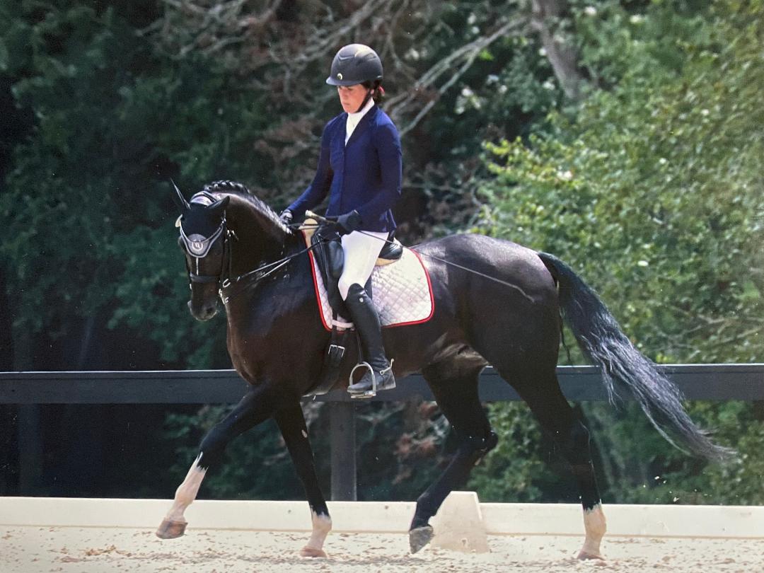 A person riding on the back of a horse.