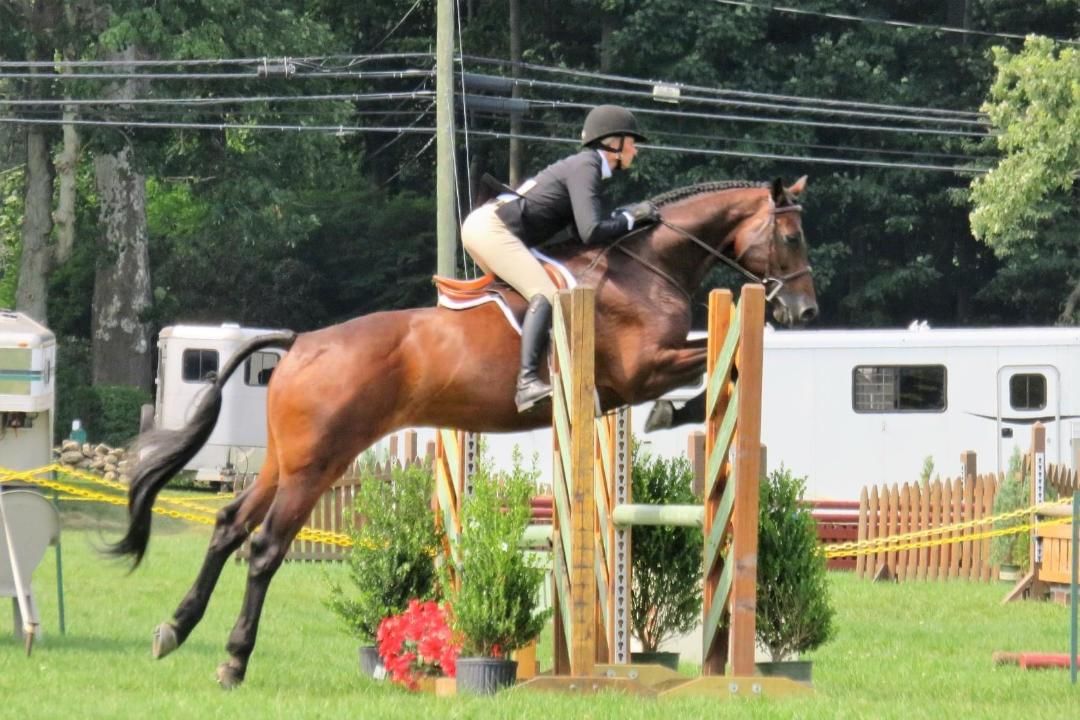 A person riding on the back of a horse jumping over an obstacle.