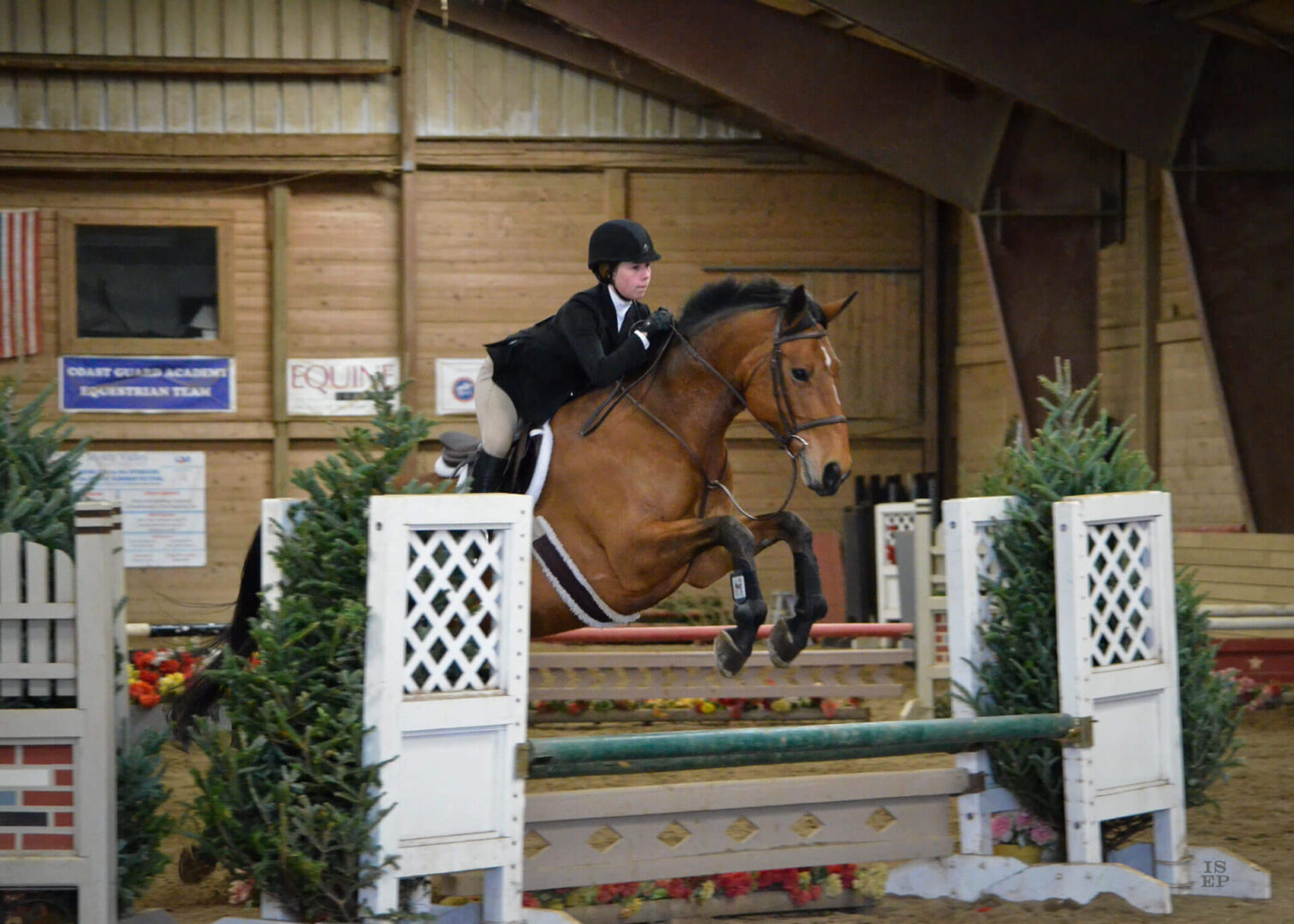 A person riding on the back of a horse.