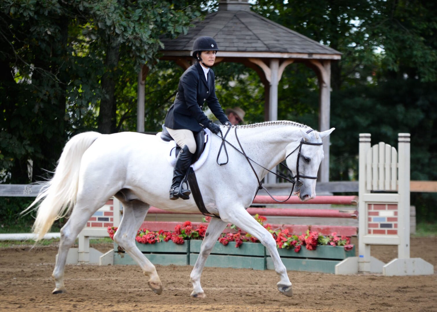 A woman riding on the back of a white horse.