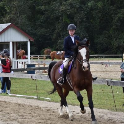 A person riding on the back of a brown horse.