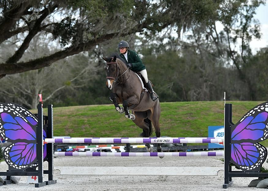 A person riding on the back of a horse jumping over an obstacle.