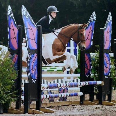 A person on a horse jumping over some poles