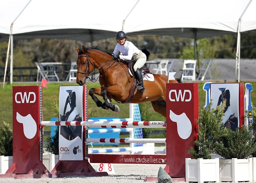 A person on a horse jumping over an obstacle.