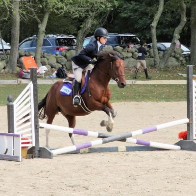 A person riding on the back of a brown horse.