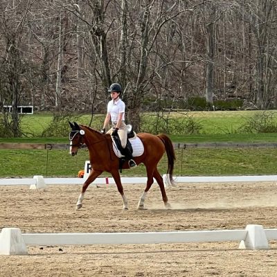 A person riding on the back of a horse.