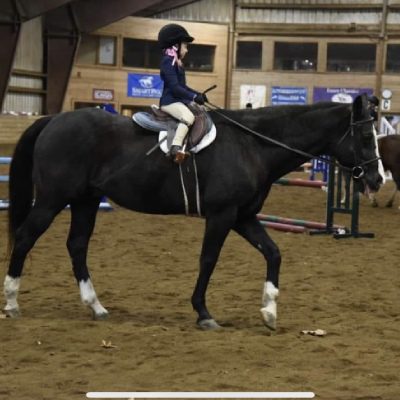 A person riding on the back of a black horse.