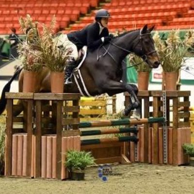 A person jumping over an obstacle on a horse.