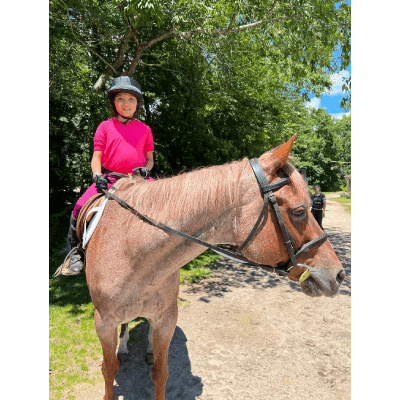 A woman in pink shirt riding on the back of a brown horse.